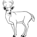 Carved Deer Buck Clipart