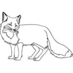 Fox Engraved Image