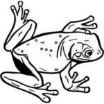 Frog Engraved Image