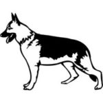 German Shepherd Engraved Image