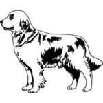 Golden Retriever Engraved Image