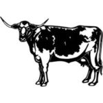 Custom Engraved Longhorn Steer Picture