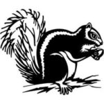 Engraved Squirrel Image