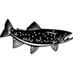 Engraved Trout Image