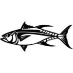 Engraved Tuna Artwork